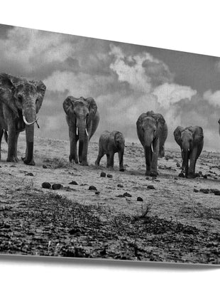 Wall art Big Family. Elephants-0