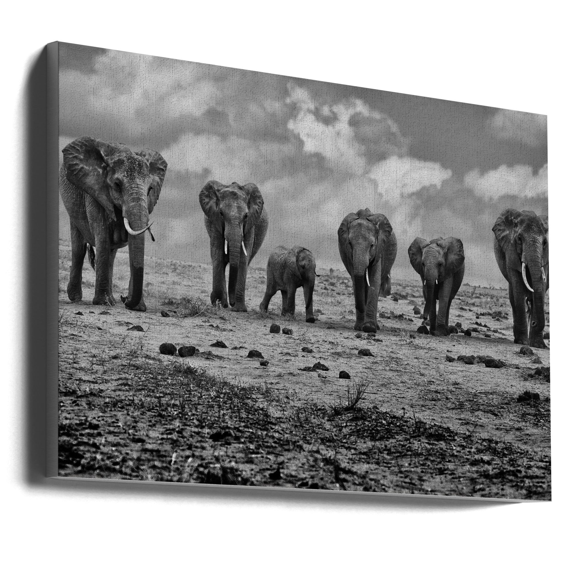 Wall art Big Family. Elephants-0