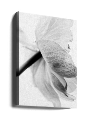 Blooming Flower-3