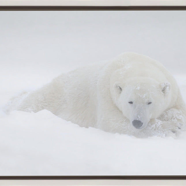 Wall art White-1