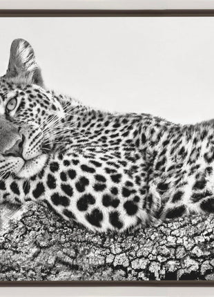 Time to rest Leopard-1