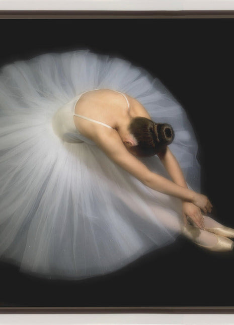 Wall art Elegance. Dance-1