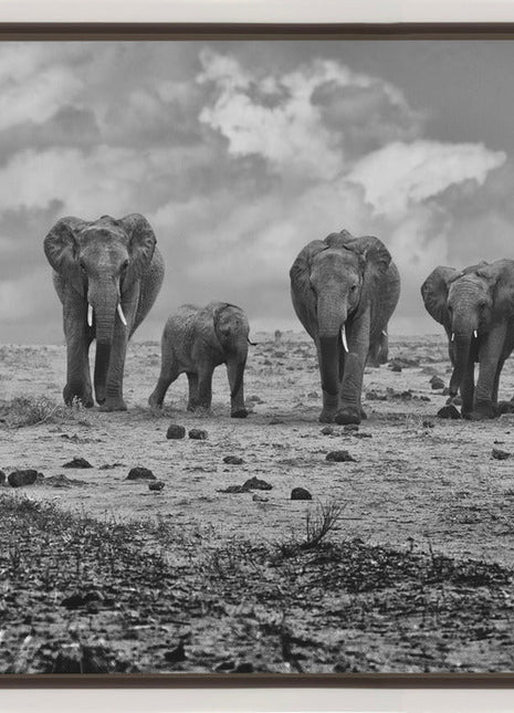 Wall art Big Family. Elephants-1
