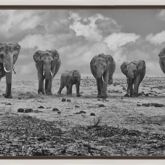 Wall art Big Family. Elephants-1