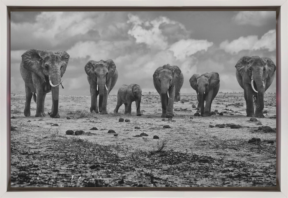 Wall art Big Family. Elephants-1
