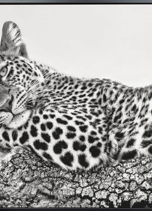 Time to rest Leopard-2