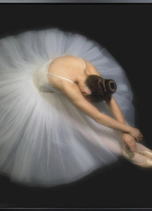 Wall art Elegance. Dance-2