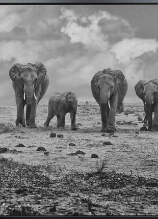 Wall art Big Family. Elephants-2