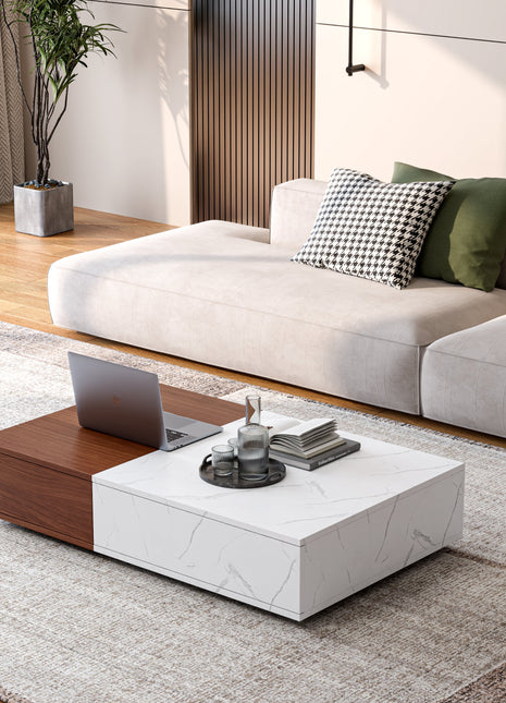 Modern Style Walnut Coffee Table With Two Storage Spaces-2