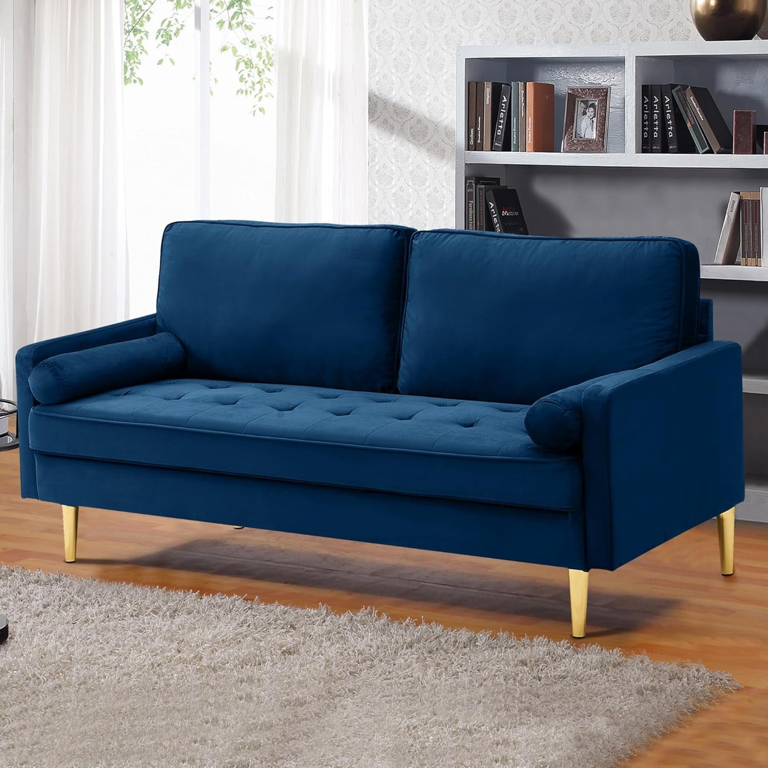 Blue sofa in a living room setting with a bookshelf in the background