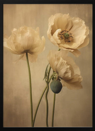 Poppies 24-1