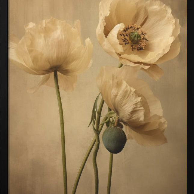 Poppies 24-1