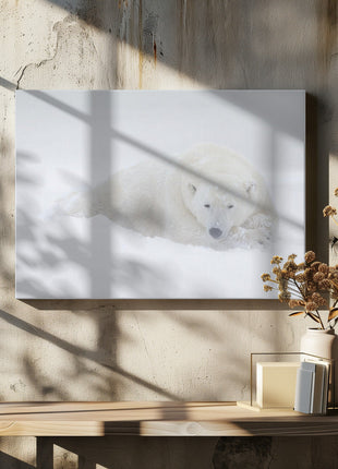 Wall art White-4