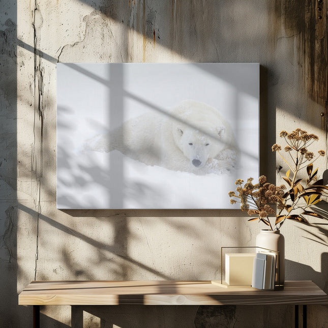Wall art White-4