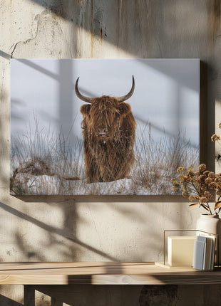 Highlander in Snow-4