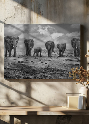 Wall art Big Family. Elephants-4