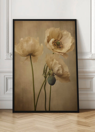 Poppies 24-3