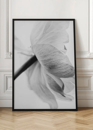 Blooming Flower-4