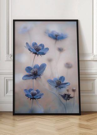 Cosmos blue-3