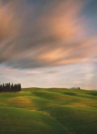 Wall art Fields...-3