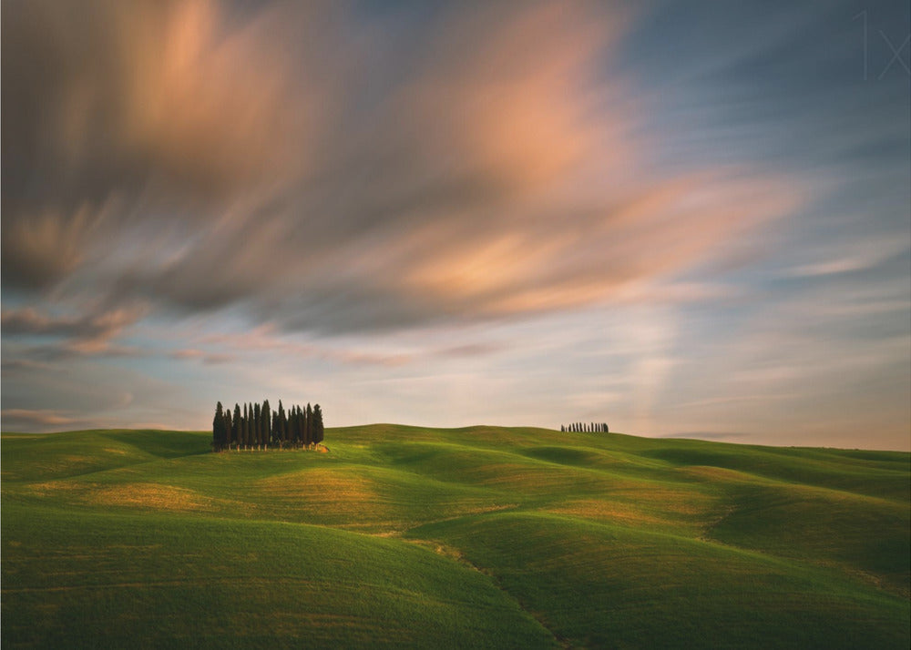 Wall art Fields...-3