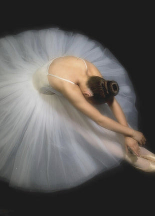Wall art Elegance. Dance-3