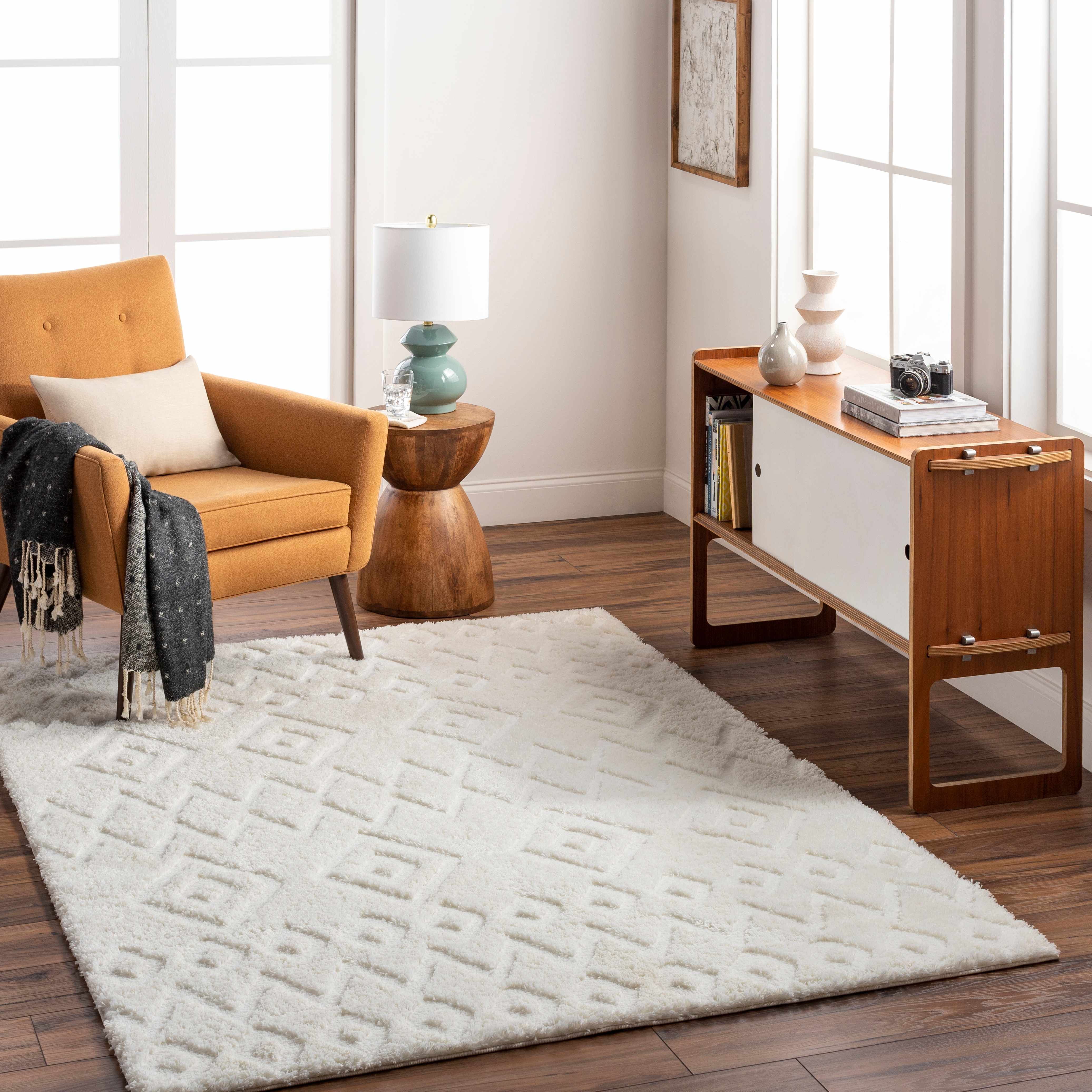 Hardy Haus Hoshi Area Rug | Contemporary Machine-Woven Plush Polyester Carpet