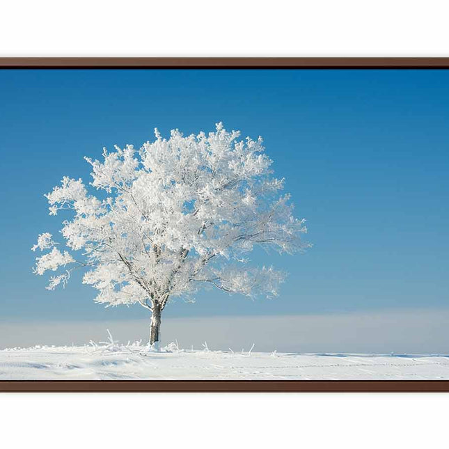 Solitary Tree  Canvas  Art Print