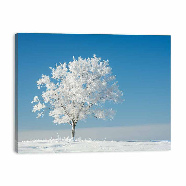 Solitary Tree  Canvas  Art Print