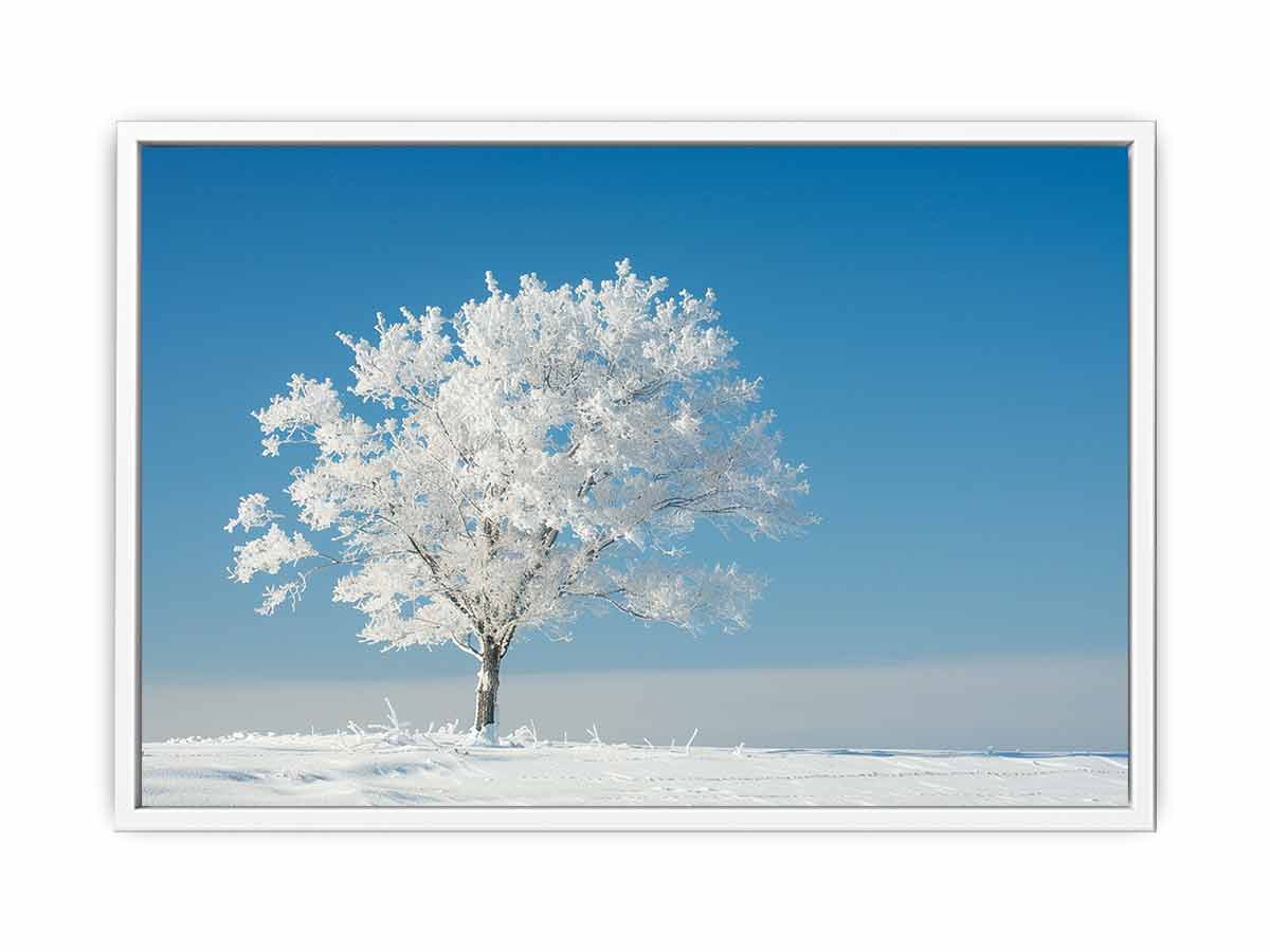 Frost-covered tree in a snowy landscape with a clear blue sky